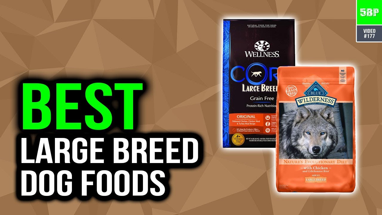 Best Large Breed Dog Foods 2020 (Top 5 Picks)