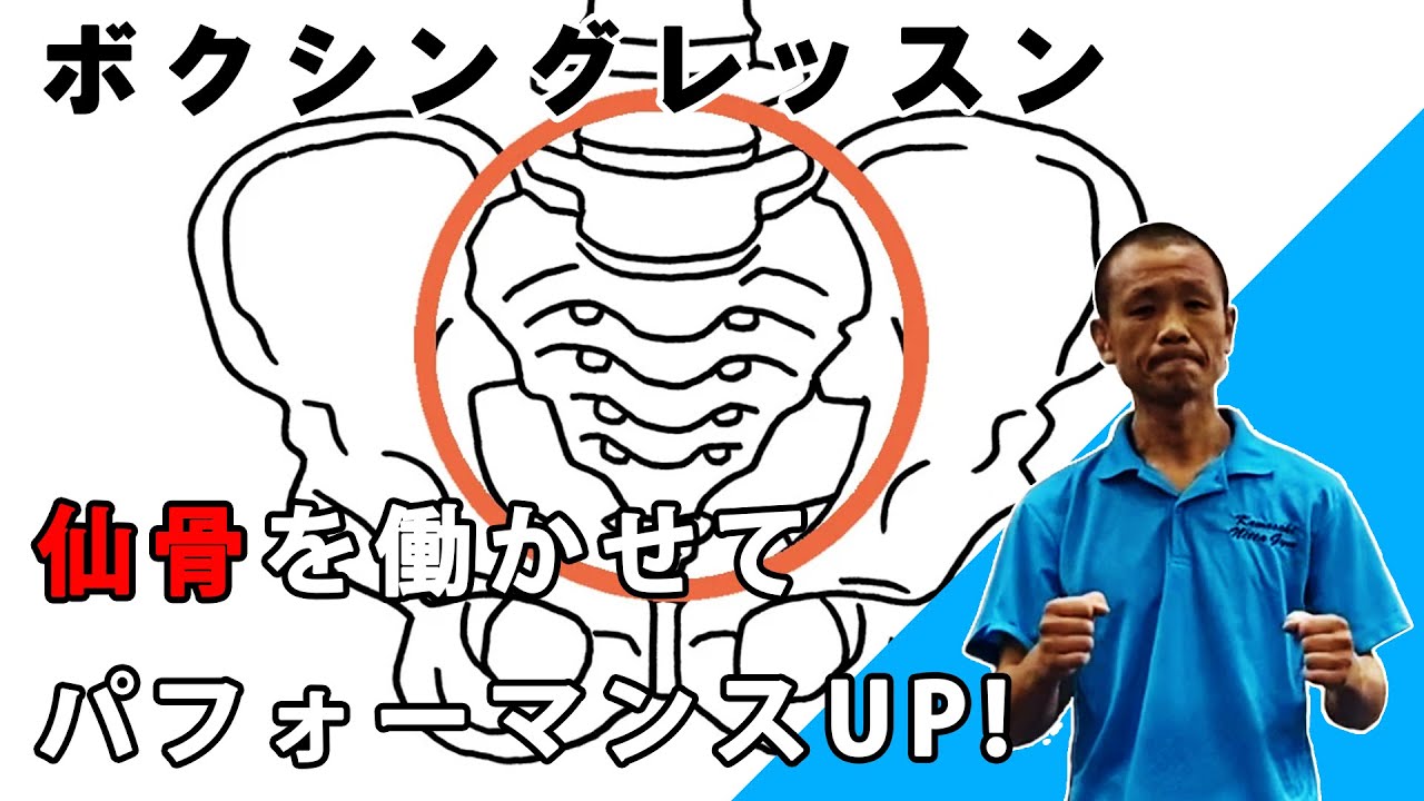 仙骨の働きについて