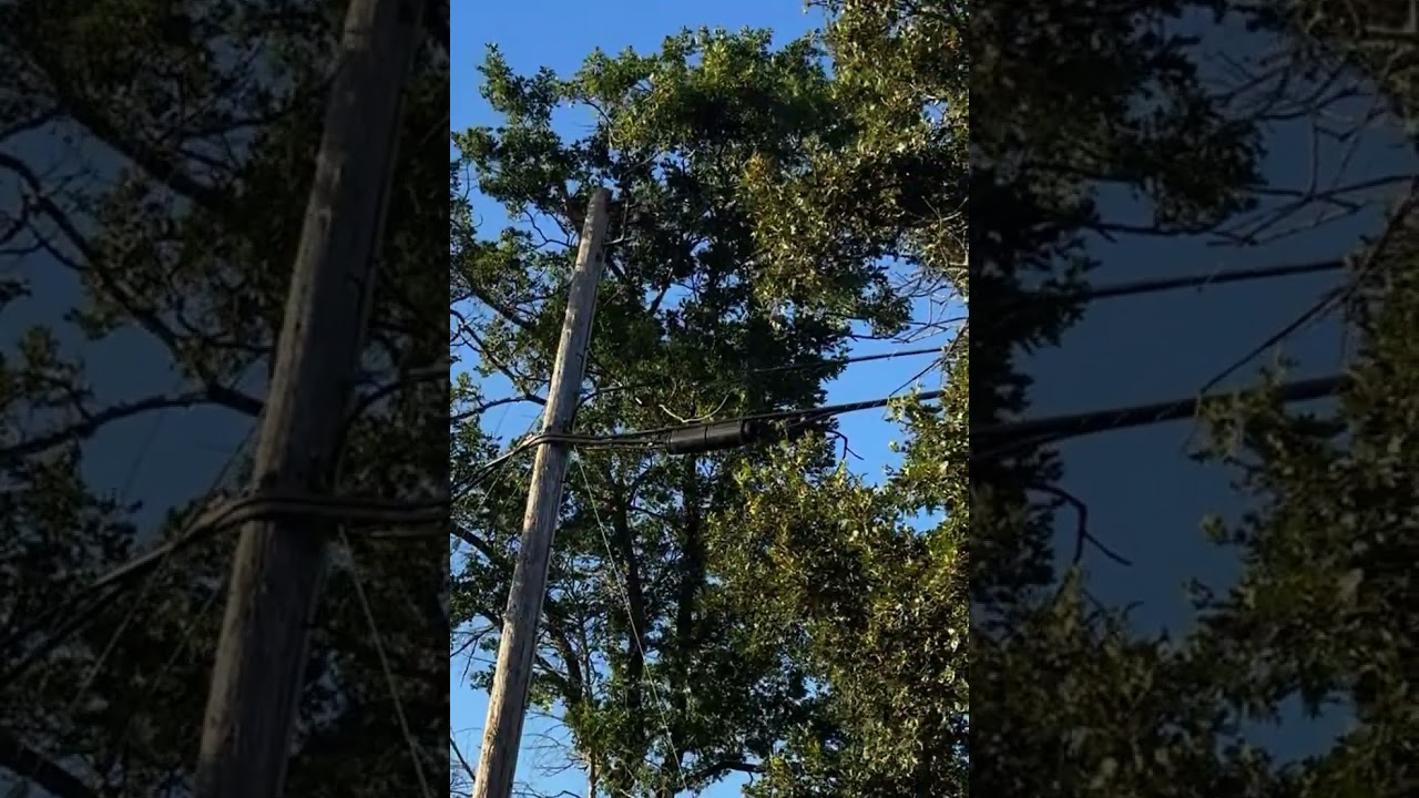 Tree Sparks Vegetation Fire at Base of Utility Pole on Alderpoint Road.