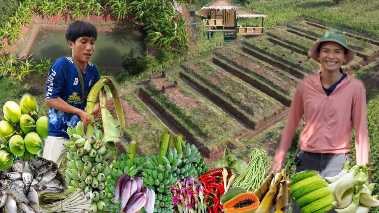 ทำเกษตรวันหยุด เริ่มต้นจากครอบครัวไม่เห็นด้วย พิสูจน์ตัวเองจนสำเร็จภูมิใจมีสวนที่สวยเเละสมบูรณ์แบบ