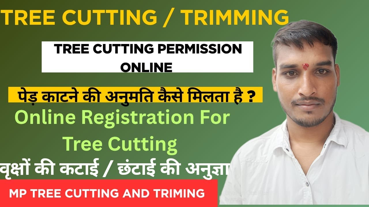 पेड़ कटवाने का क्या तरीका है | tree cutting process | पेड़ कटवाने के लिए आवेदन कैसे करे  | tree cut