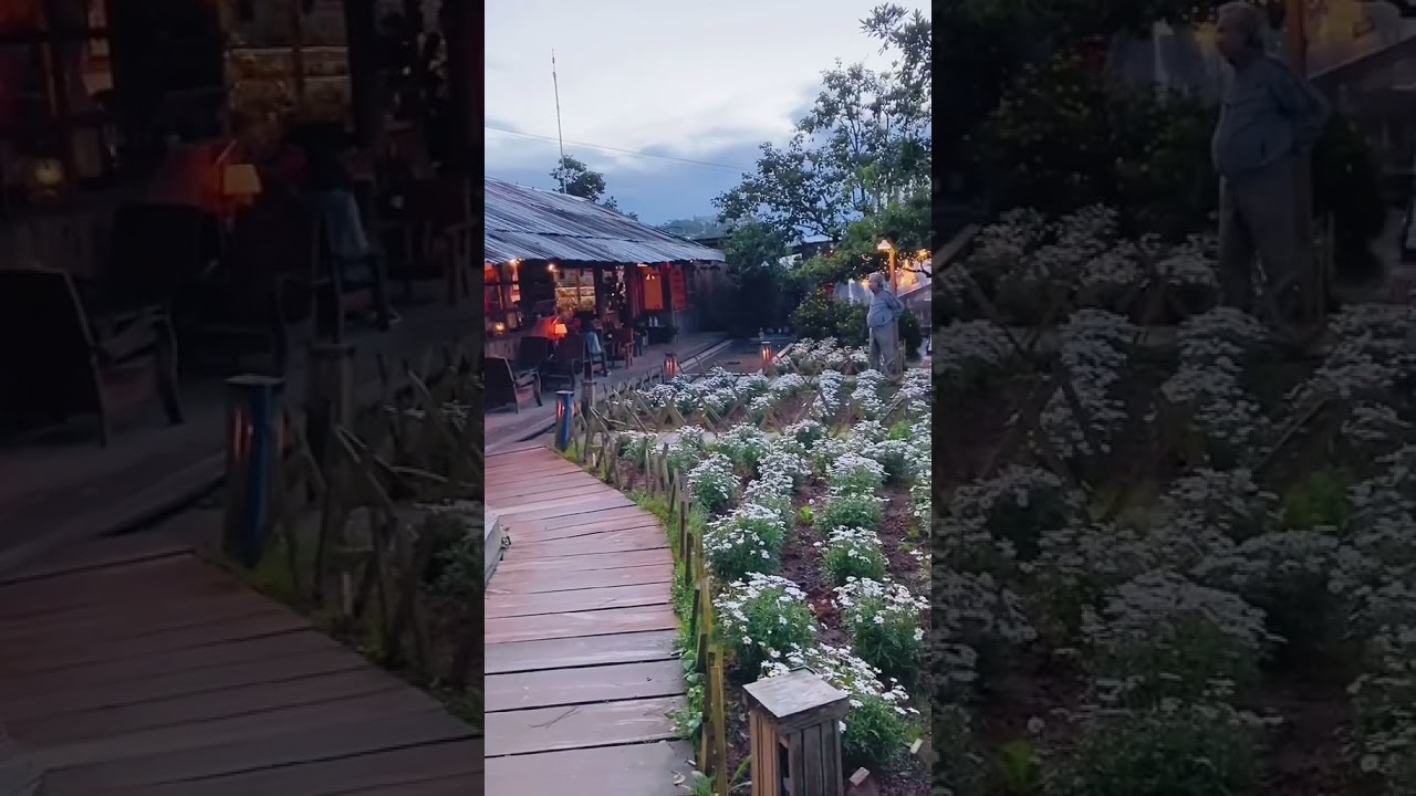 S&aacute;ng c&agrave; ph&ecirc; Đ&agrave; Lạt