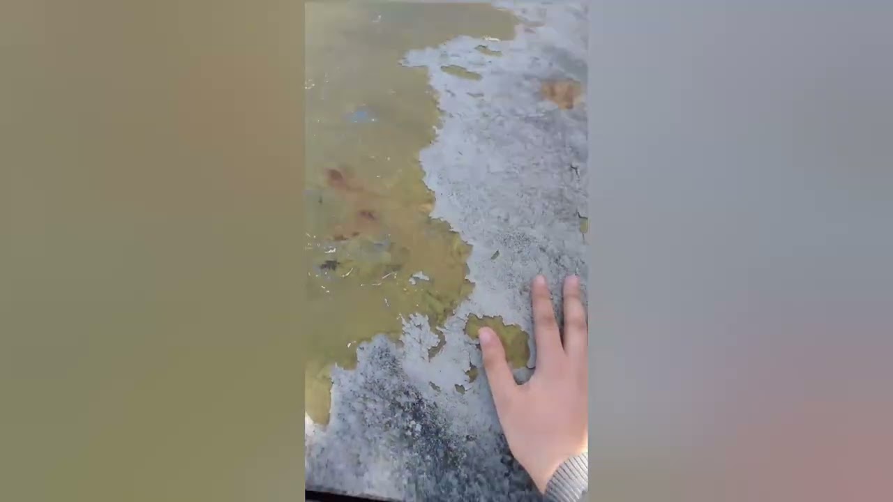 🇷🇺Я нашёл две заброшенные советские машины-🇦🇲 ես գտել եմ երկու սովետական մեքենաներ