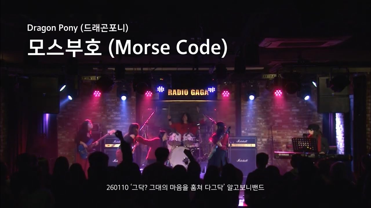 Dragon Pony(드래곤포니) - 모스부호(Morse Code) | 그닥? 그대의 마음을 훔쳐 다그닥...🐎 - 알고보니밴드(RGBN) 공연🎸