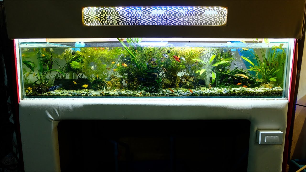 วิธีทำตู้ปลาสำหรับคนงบน้อยใช้เงินหลักร้อยสำหรับมือใหม่[ต้นกำเหนิดนายตัวเอง](นายตัวเองปลาสวยงามEP30)