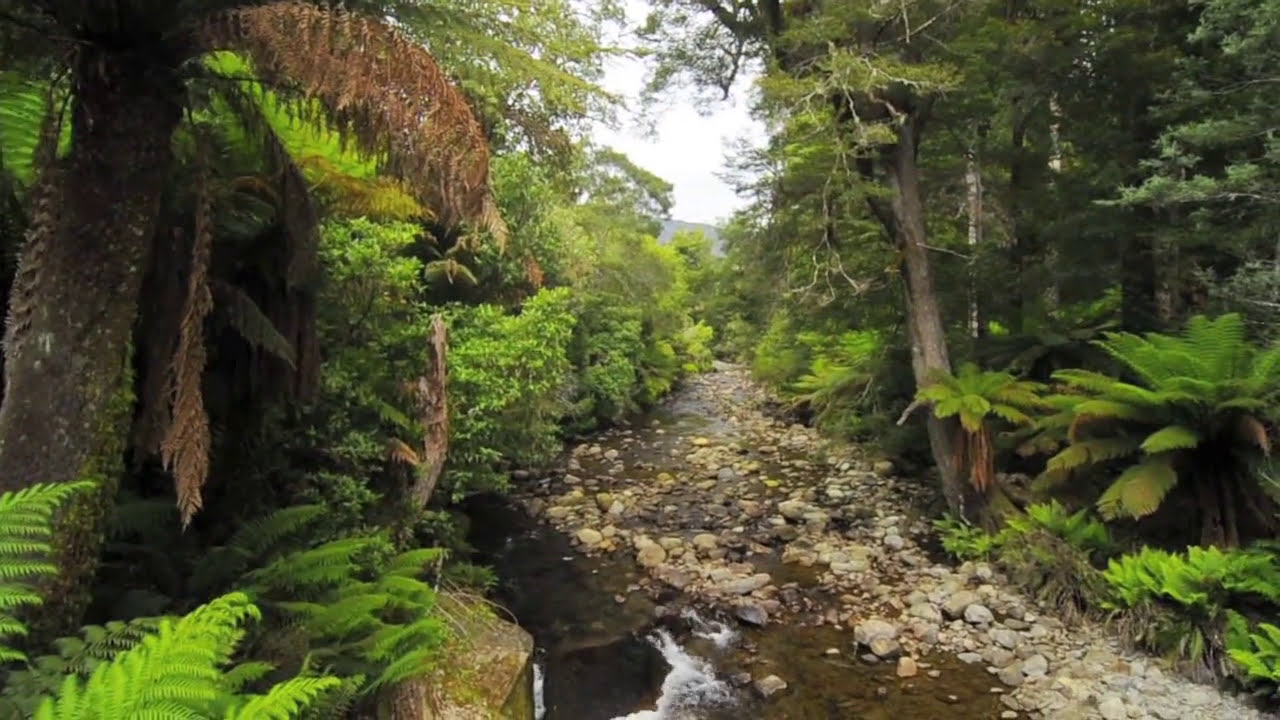 Highway 1 Australia's greatest road trip: Great Western Tiers