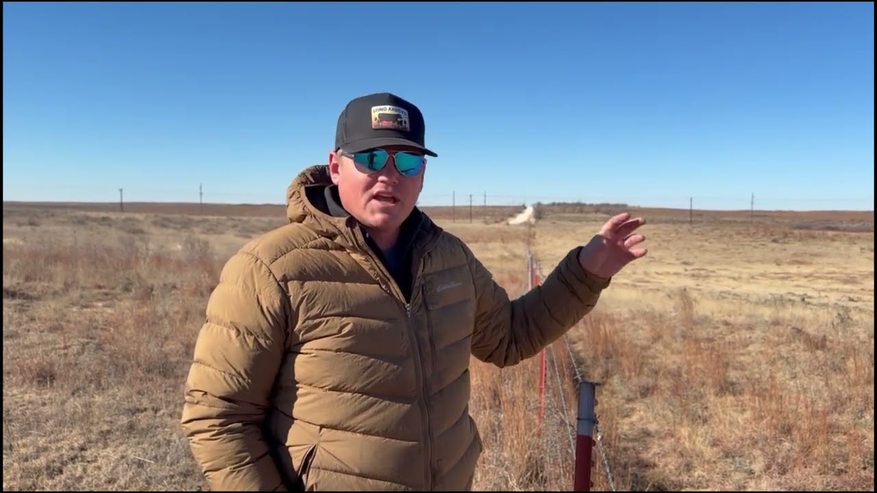 Benefits of cell grazing