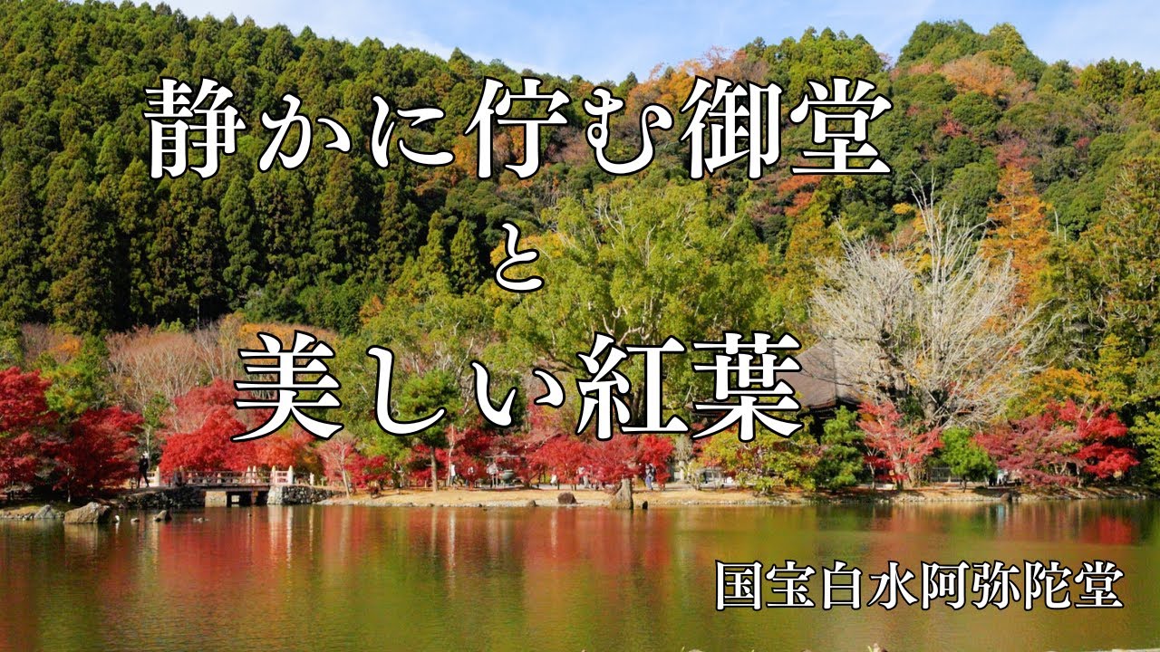 静かに佇む御堂と美しい紅葉2025　国宝白水阿弥陀堂