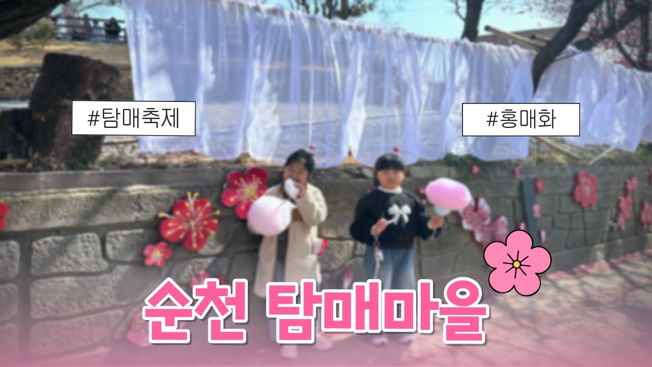 [2026년3월7일] 순천 탐매마을 탐매축제 | 홍매화 | 산미태라멘