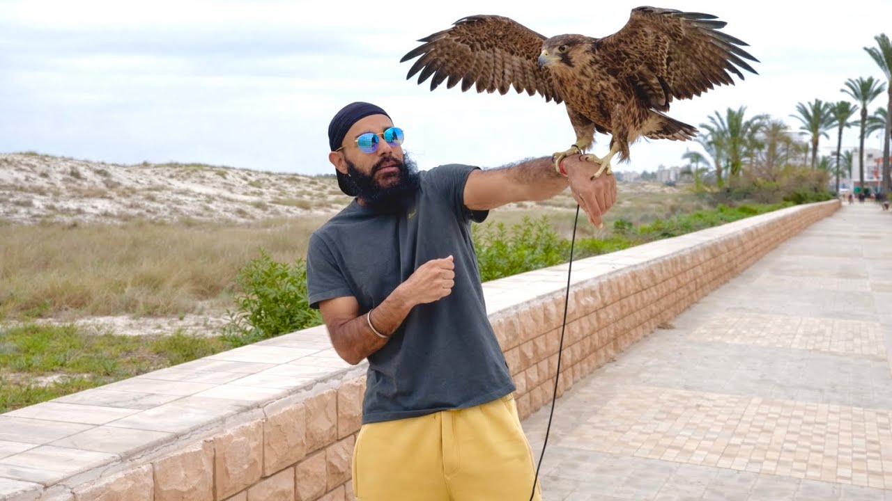 Eagle Ne Panja Maar Diya..