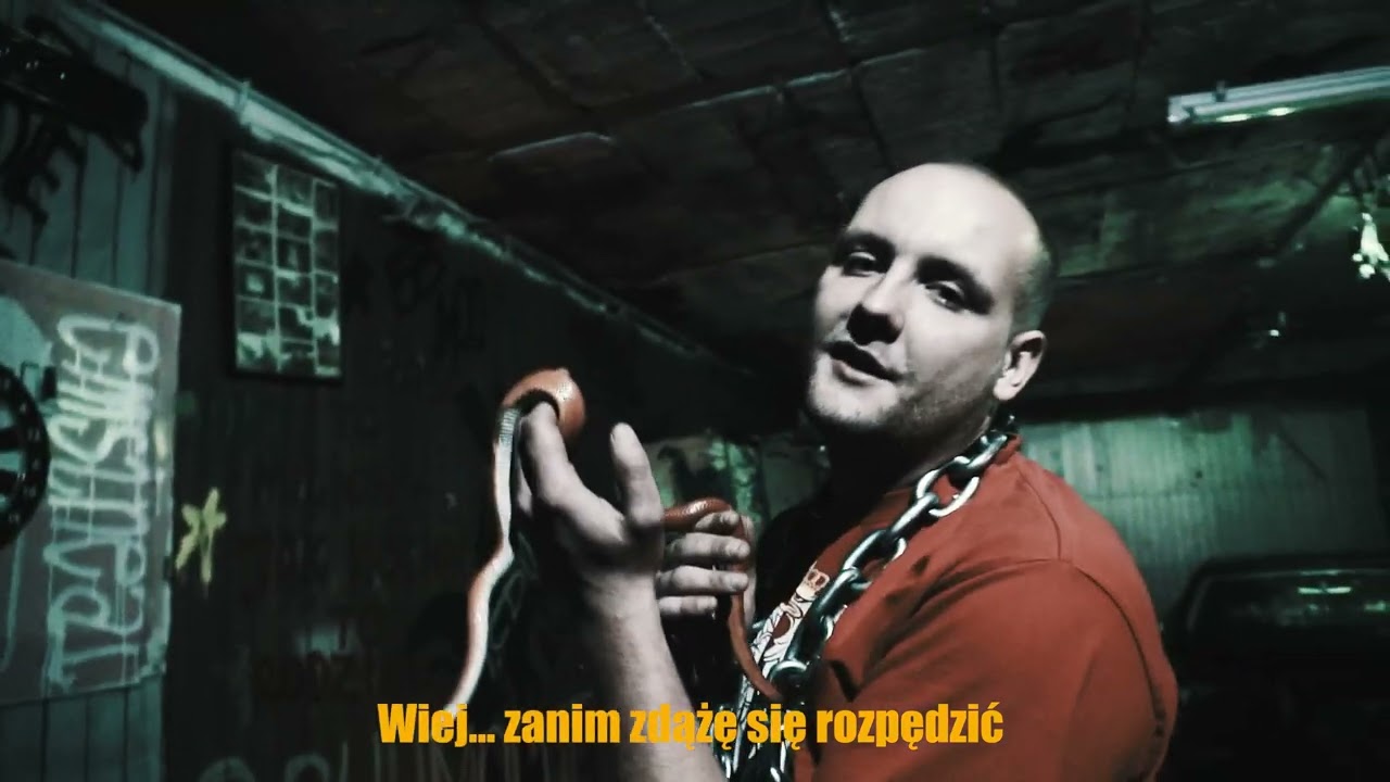 Białko - schumacher