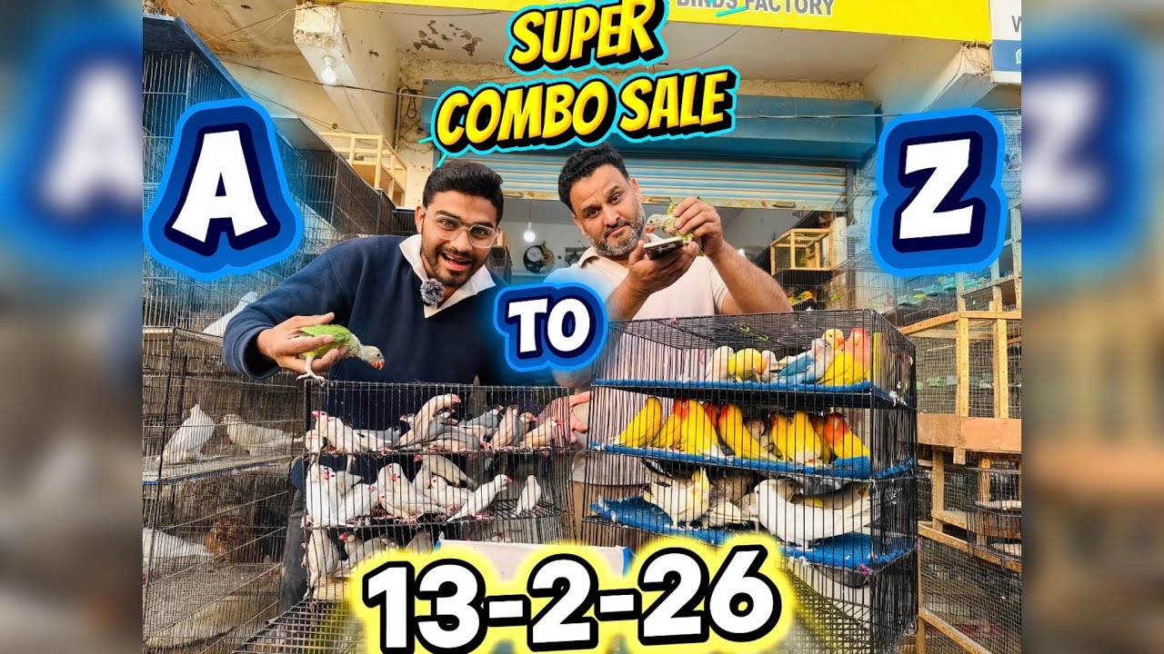 Mashallah New varieties At A to z birds ek dafa phr new deals lakar market change krdi 13-2-26❤️