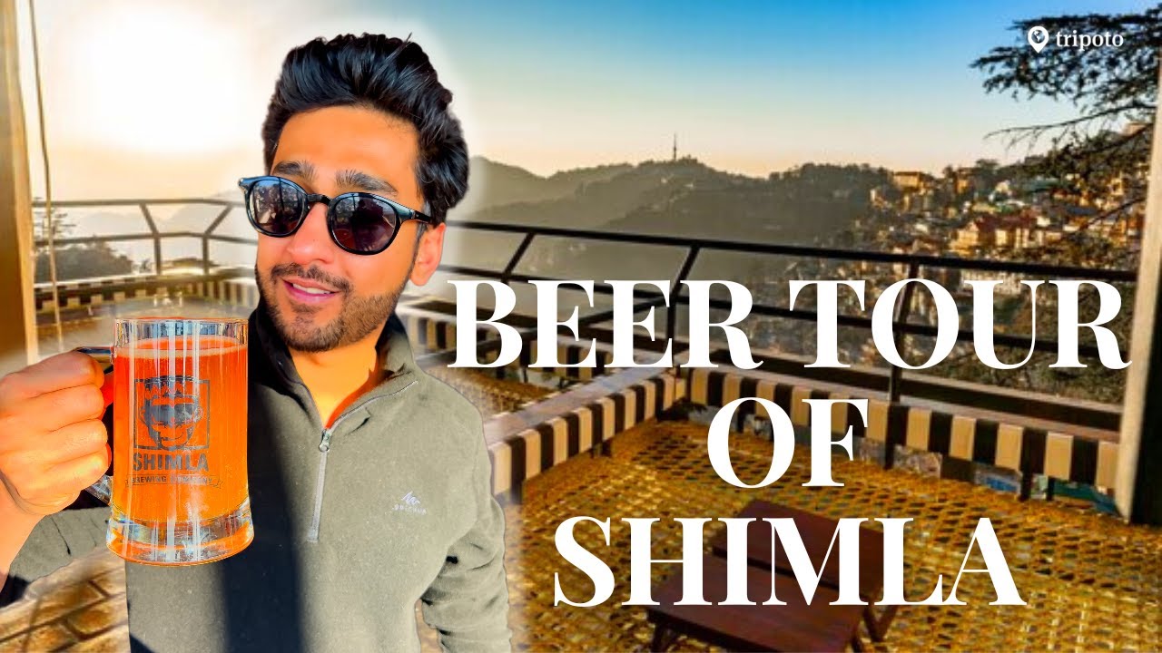 Uncover Shimla's Craft Beer Scenes: A Beer Lover's Guide to the Best Cafes, Pubs, and Rooftop Bars!