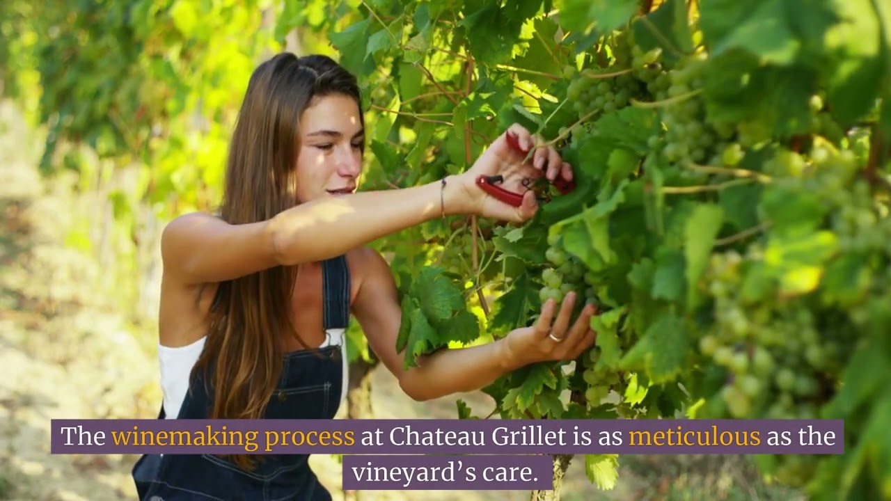 15#Wine Estate - The Legendary Château-Grillet 🌱 : Through Time and Terroir 🕰️🍇