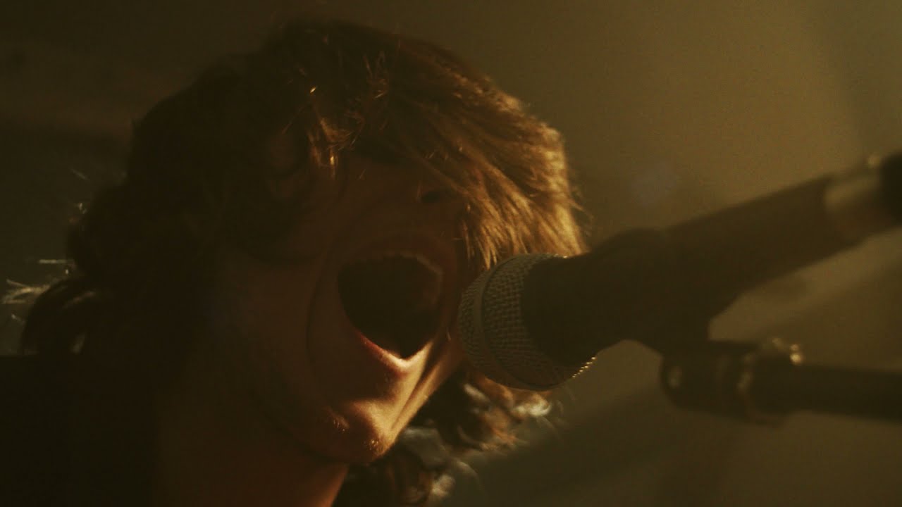 Dog on the catwalk - FOREVER (Official Video)