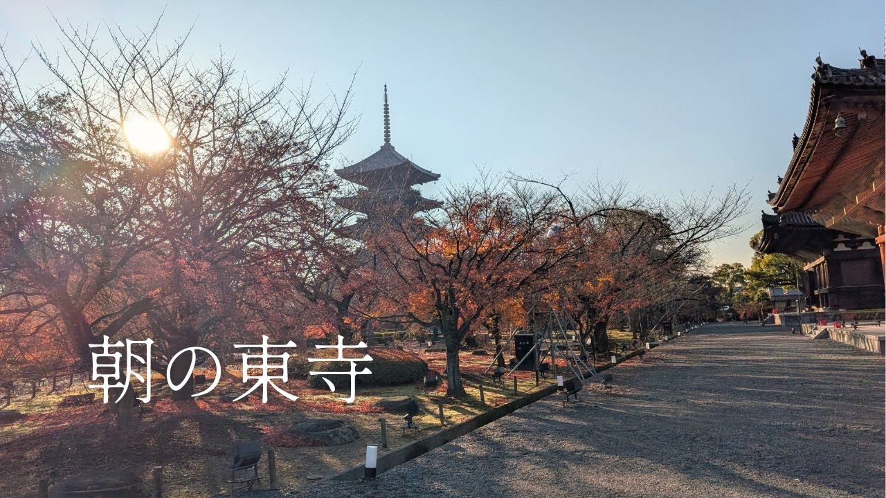 京都・東寺│朝の静けさと五重塔