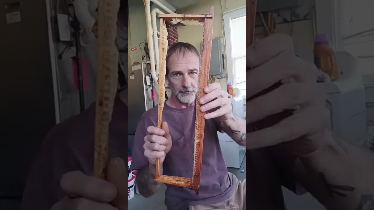 First attempt making a educational video Re-waxing frames using beeswax #beekeeping #beekeeper 