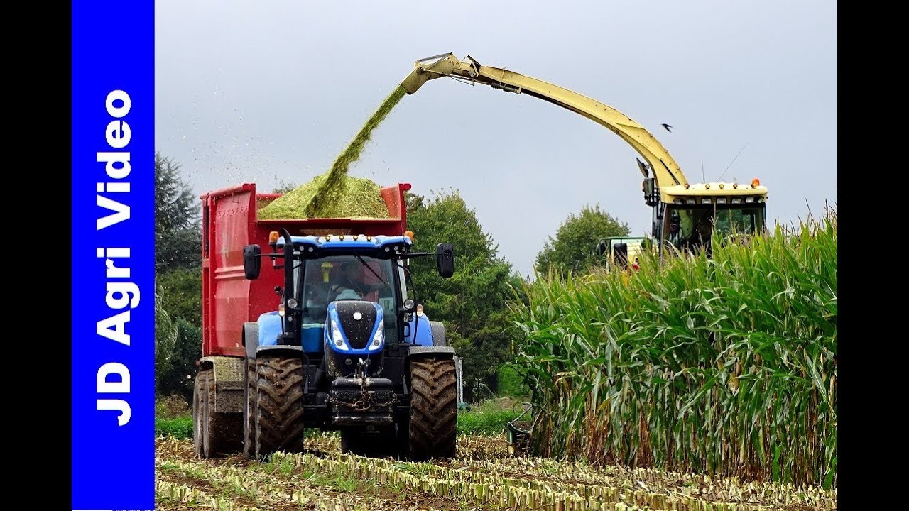 Mais hakselen 2018 + Kuilwerk | Krone BigX 500 | Liebherr | van Es | Rossum | New Holland
