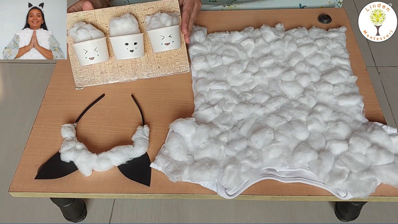 The Sheep Costume!