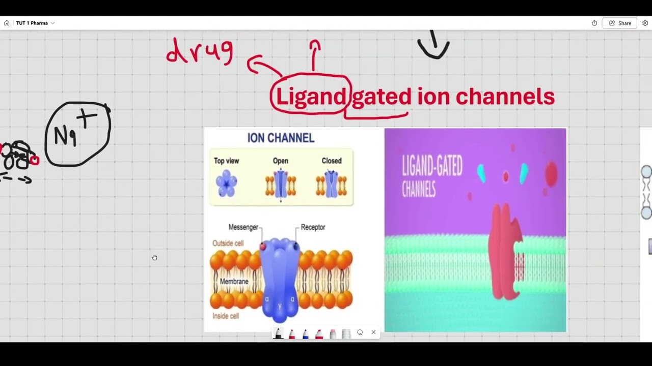 General pharmacology TUT 1 signal transduction
