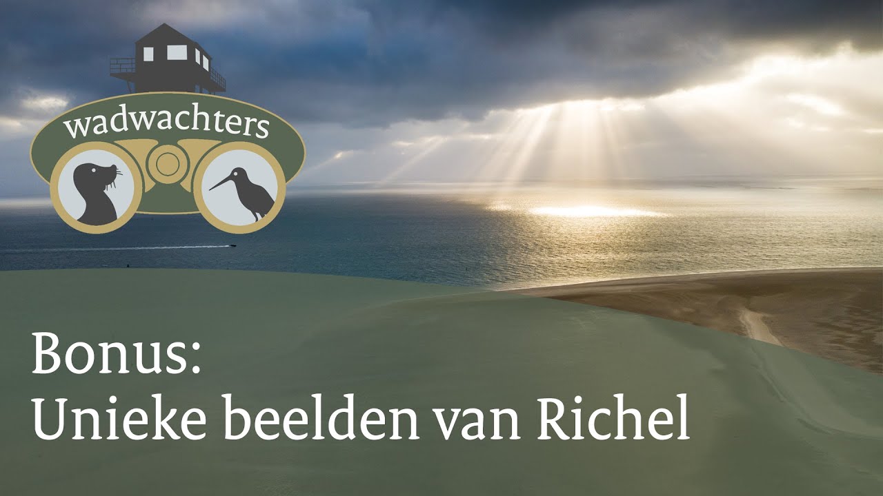 Unieke beelden van de zandplaat Richel in de Waddenzee | 4K | Wadwachters | #4