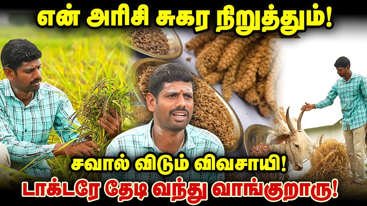 என் அரிசி சுகர நிறுத்தும்! சவால் விடும் விவசாயி! டாக்டரே தேடி வந்து வாங்குறாரு! #diabetes #savesoil