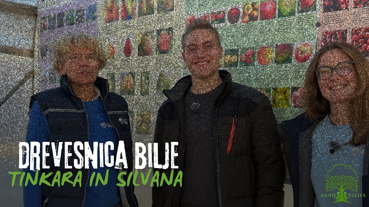 DREVESNICA BILJE