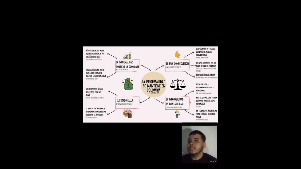 Organizador gráfico