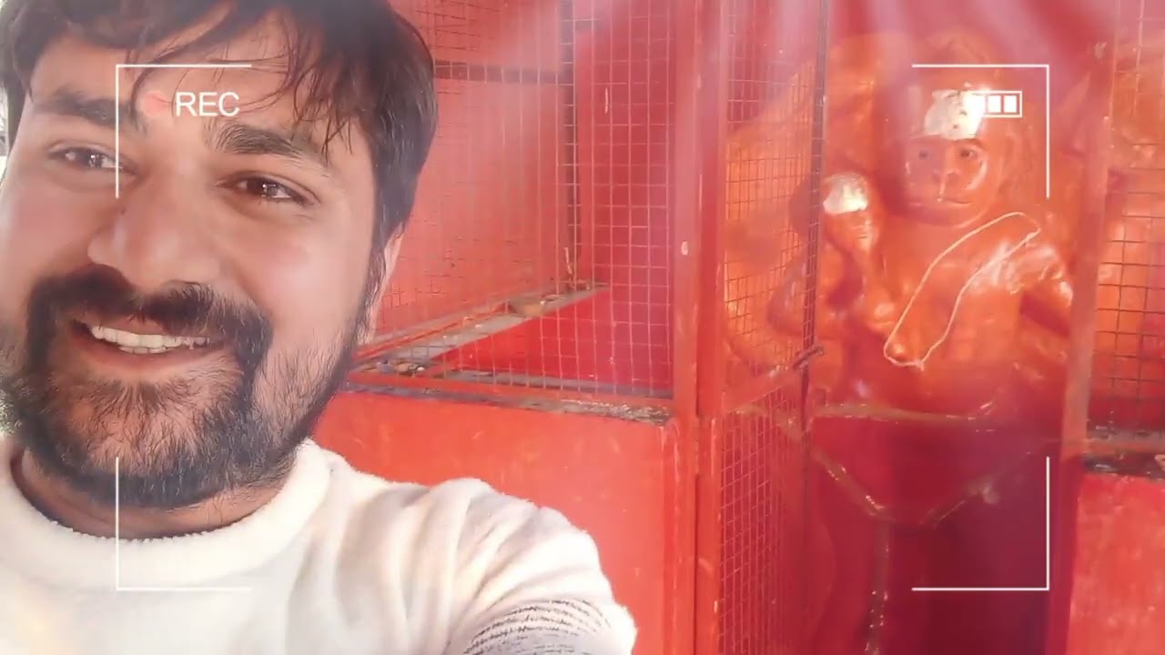 Vlog 41