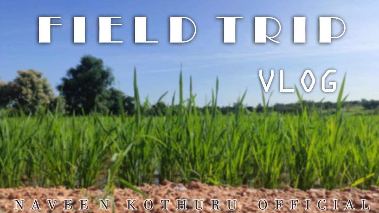 Field Trip || Vlog ||  #villagebeauty #greenfarms