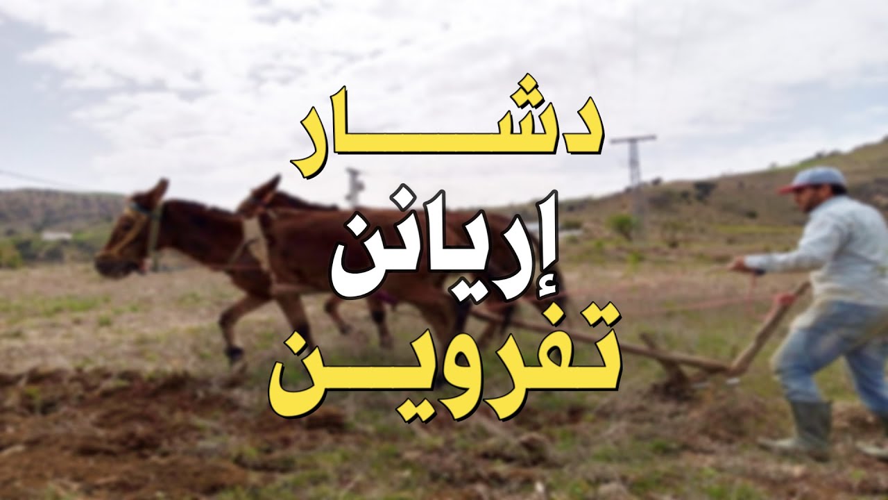 روعة الطبيعة الخلابة بين جبال الريف ''دشار إريانن'' تفروين حيث الهدوء وراحة البال