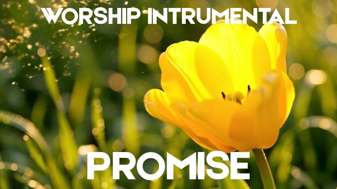 Promise – Soaking Worship Instrumental | Prayer and Devotional