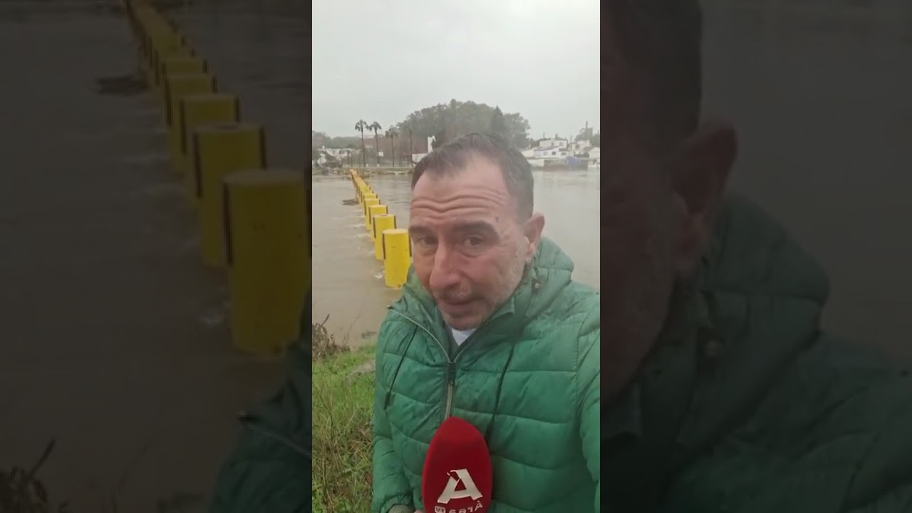 🔴 Situación en este momento de la desembocadura y el nivel que arrastra el río Guadarranque.