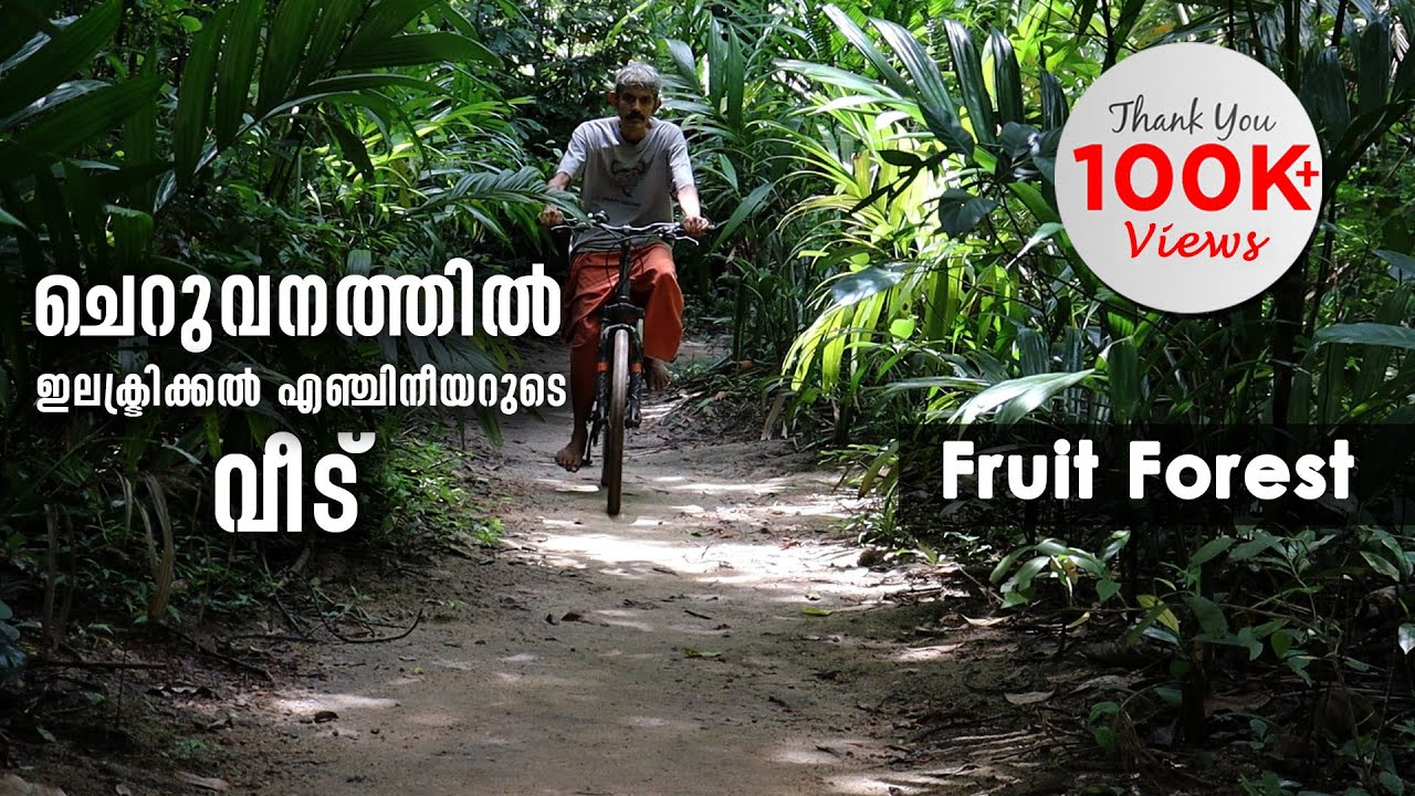 ചെറുവനത്തിൽ ഇലക്ട്രിക്കൽ എഞ്ചിനീയറുടെ വീട് | Fruit Forest at Home | livestories