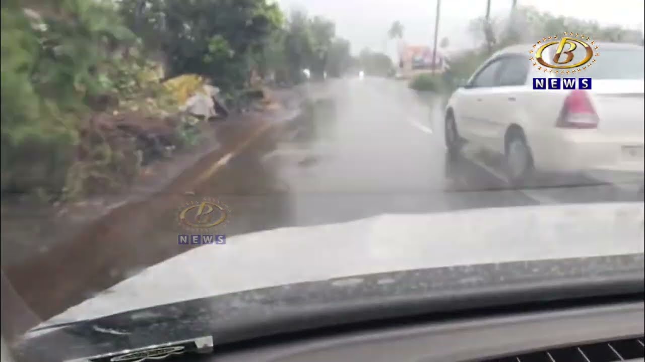 कागल परिसरात झाला पिवळा पाऊस, नागरिकांमध्ये कुतूहल
