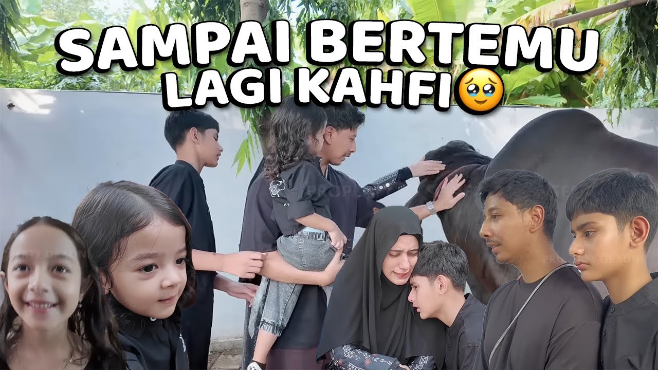 TERIMAKASIH KAHFI SAPI MANJA, KAMU SUDAH TENANG NAK…