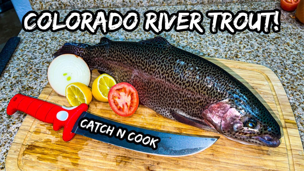 TROUT FISHING for Monsters @ Colorado River!!! CATCH & COOK