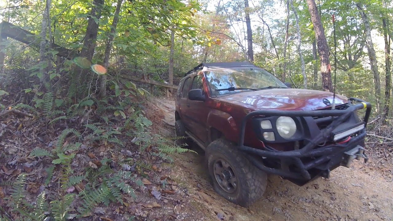 Uwharrie Trail Tour:  Dickey Bell (Trail 91)