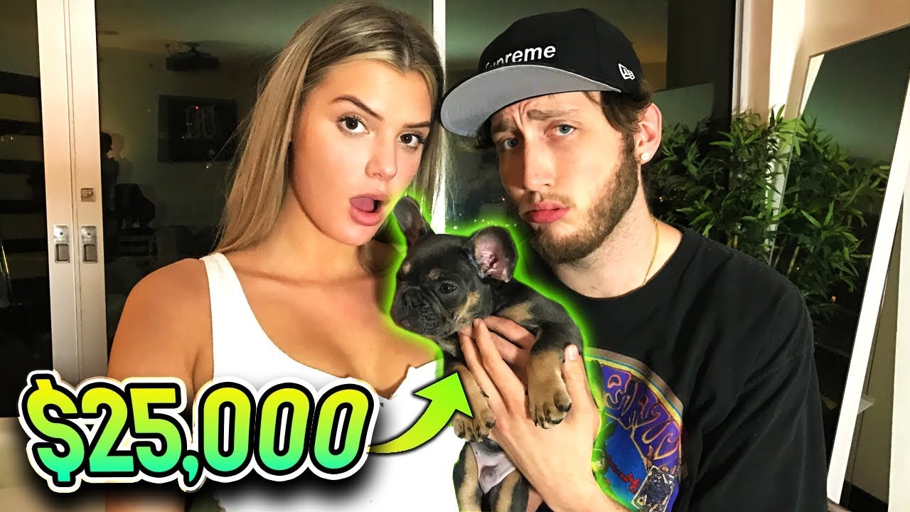 ПОКУПКА ЩЕНКА ЗА 25 000 ДОЛЛАРОВ!! (не кликбейт)