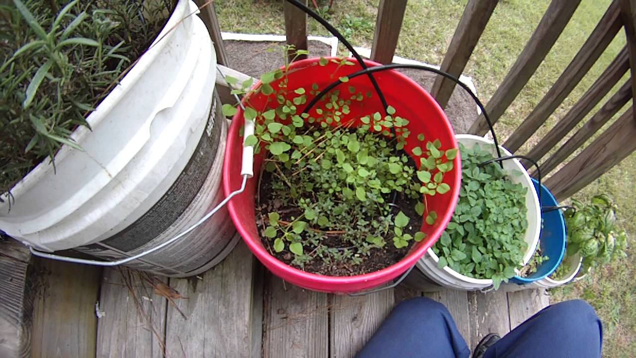 Garden Philosophy 101