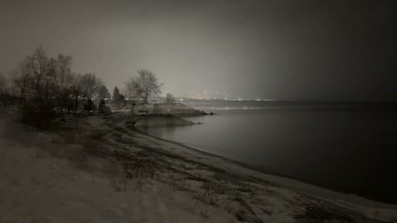 The shore is silent. Ontario breathes fog. Toronto — just dotted lights in the milk. 🌫️🏙️🎧
