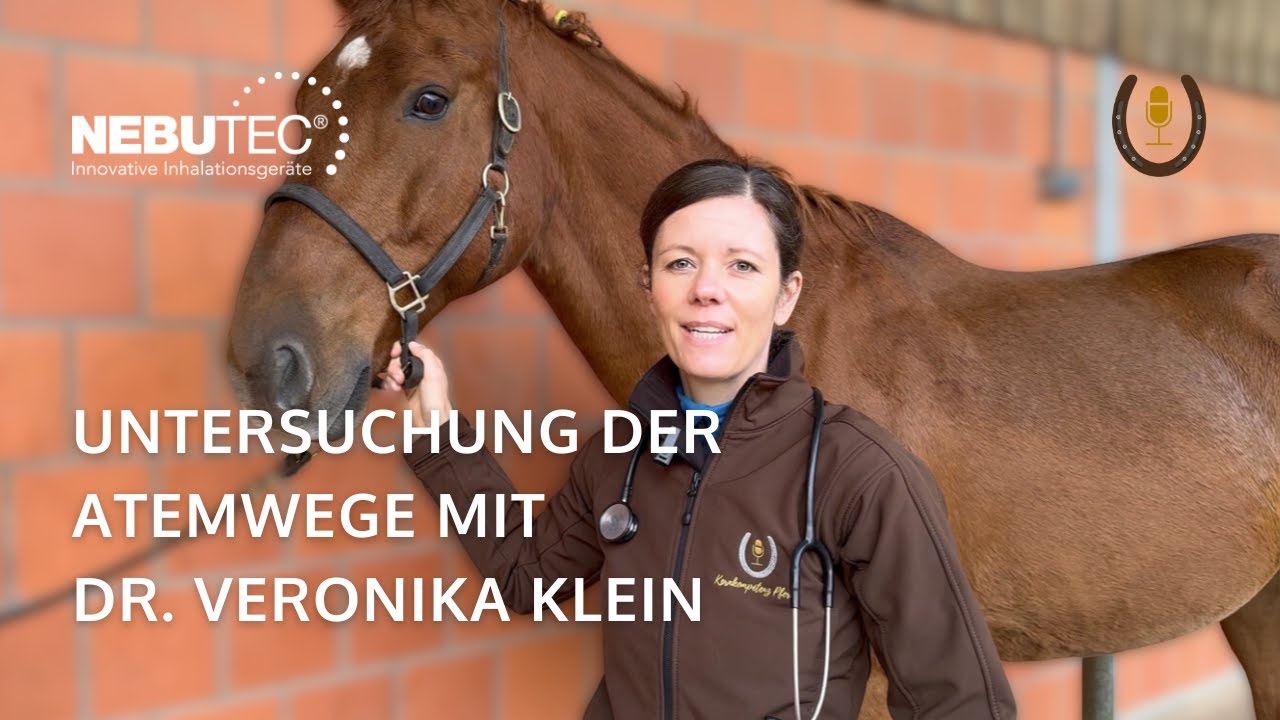 Atemwege beim Pferd untersuchen mit Fachtierärztin für Pferde Dr. Veronika Klein | NEBU-TEC