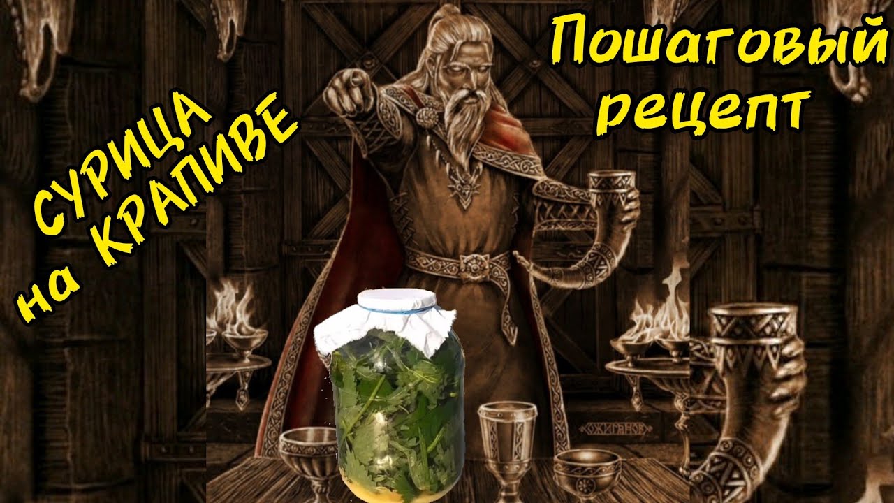 СУРИЦА на крапиве. Славянский напиток богов, пошаговый рецепт.