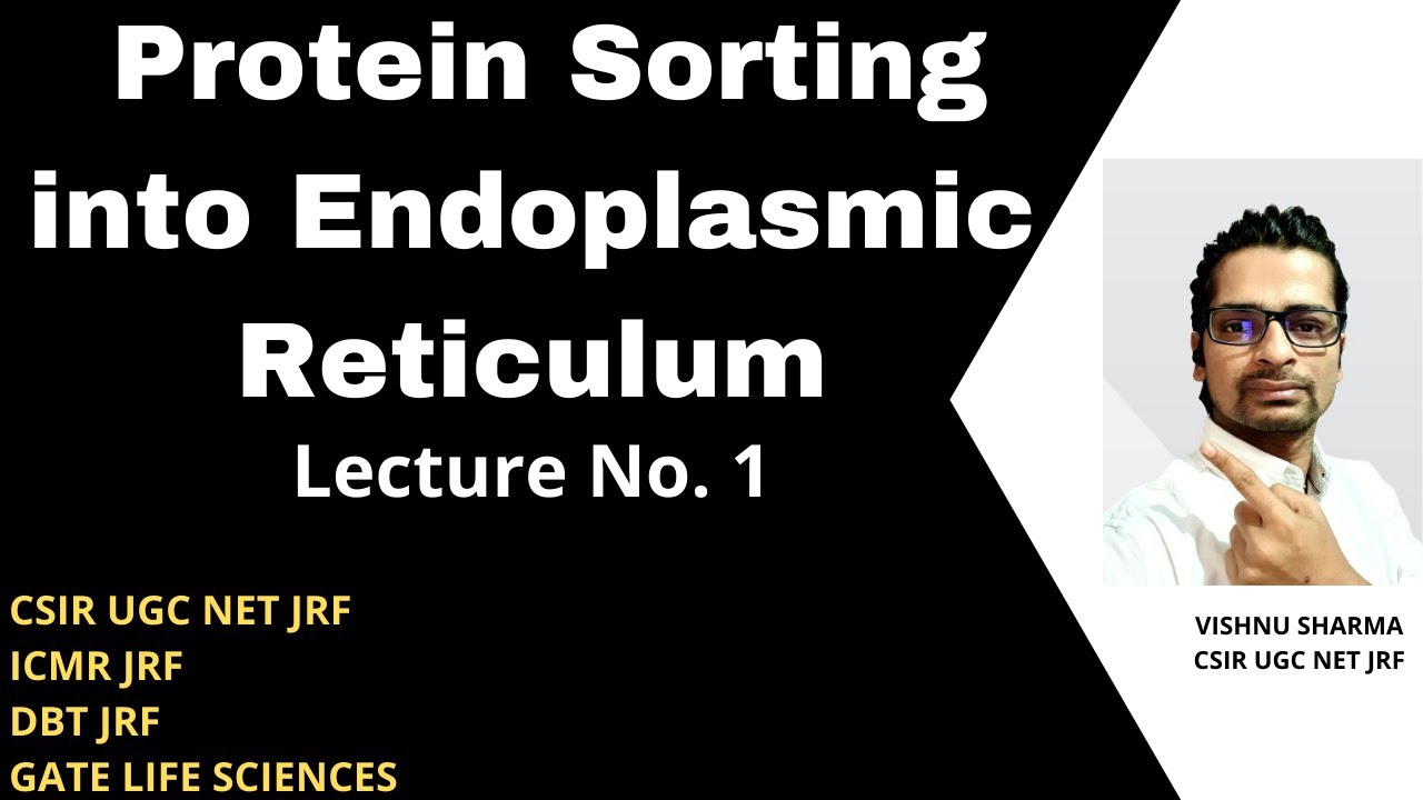 PROTEIN TARGETING/PROTEIN SORTING|COTRANSLATIONAL PROTEIN TARGETING|Lecture I|Endoplasmic Reticulum
