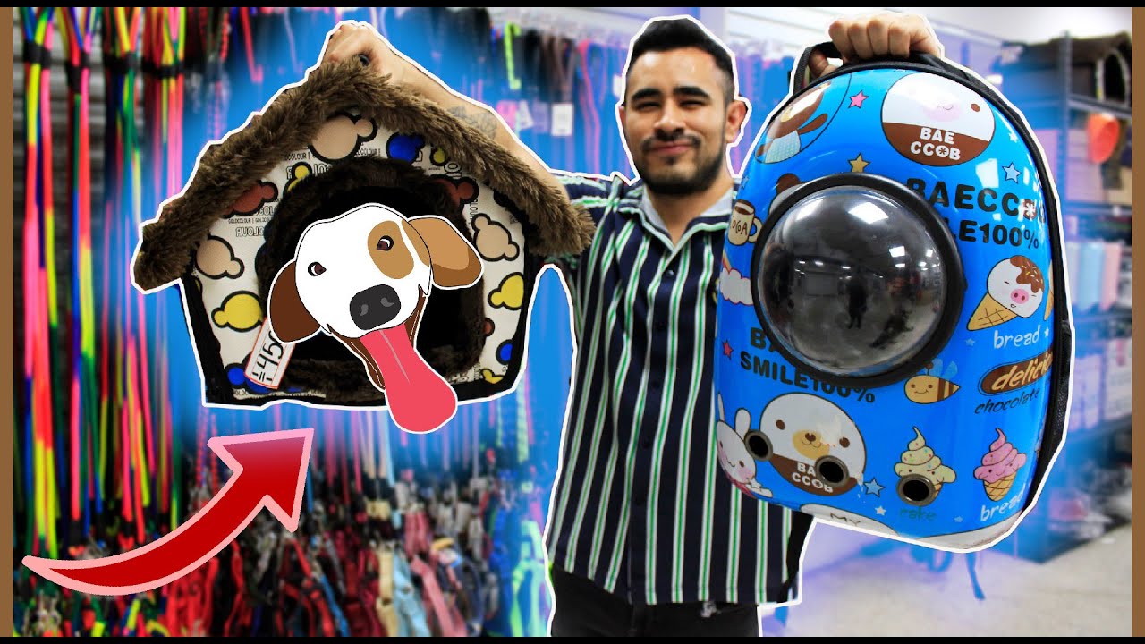 ACCESORIOS PARA MASCOTAS 🐶😸en Plaza Izazaga 89  | Camas | Correas | Juguetes