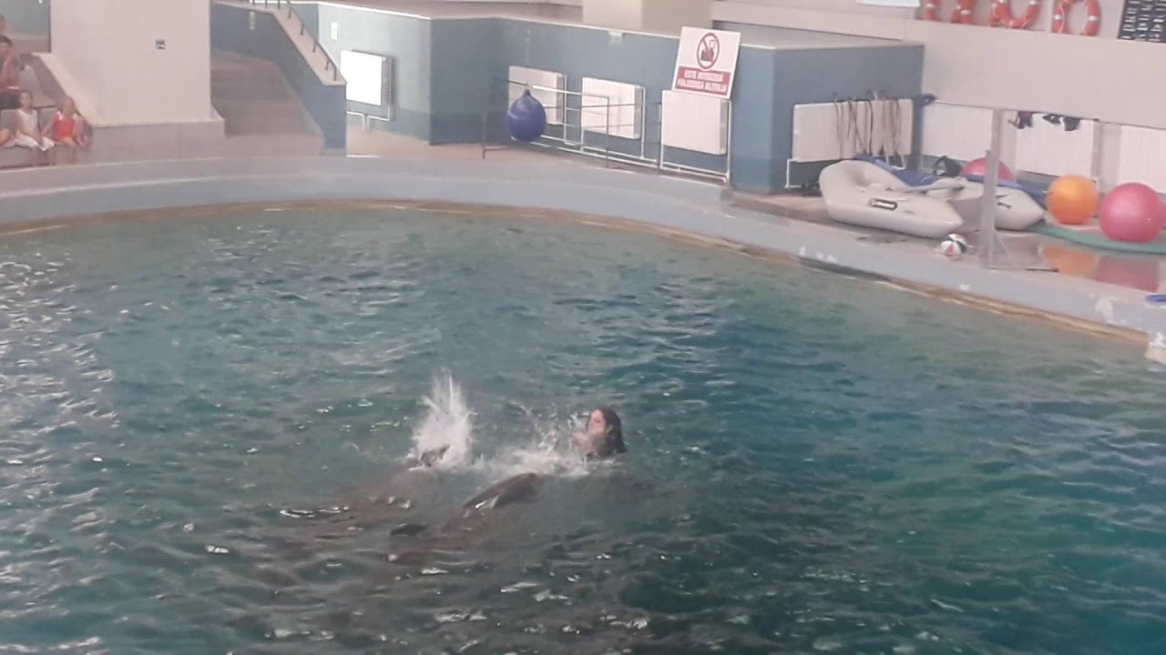 Delfinariul de la Constanța