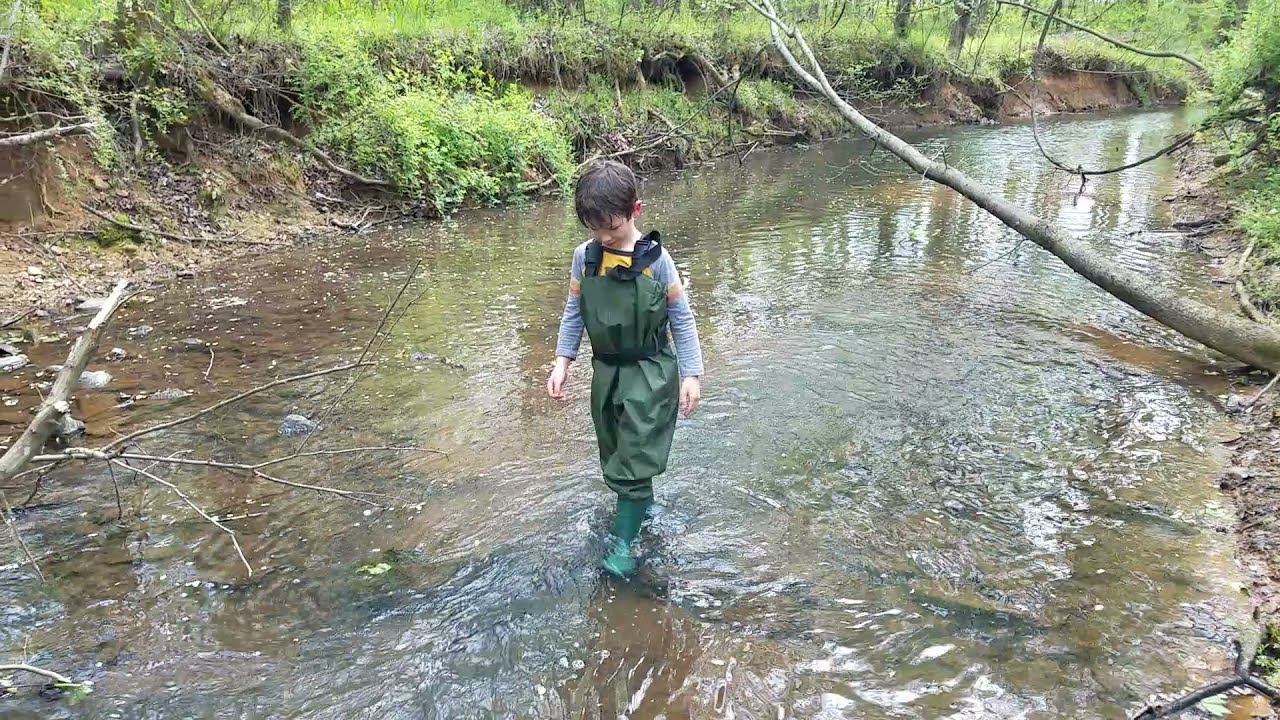 Chatty in chest waders, April 12 2020