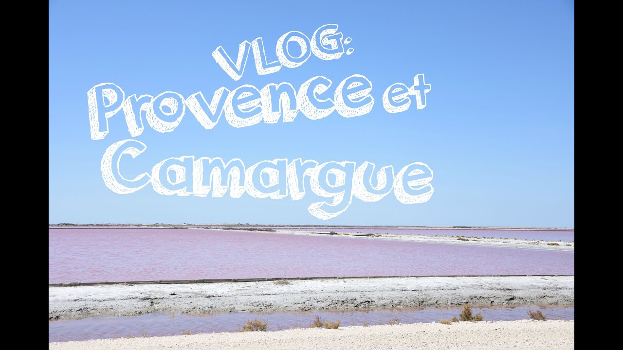 VIAGGI: Provence et Camargue