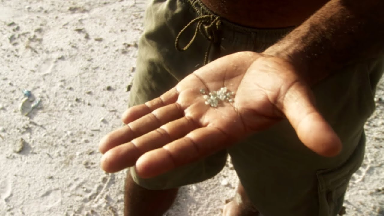 The White Diamond: Welcome to the Amazon Rainforest
