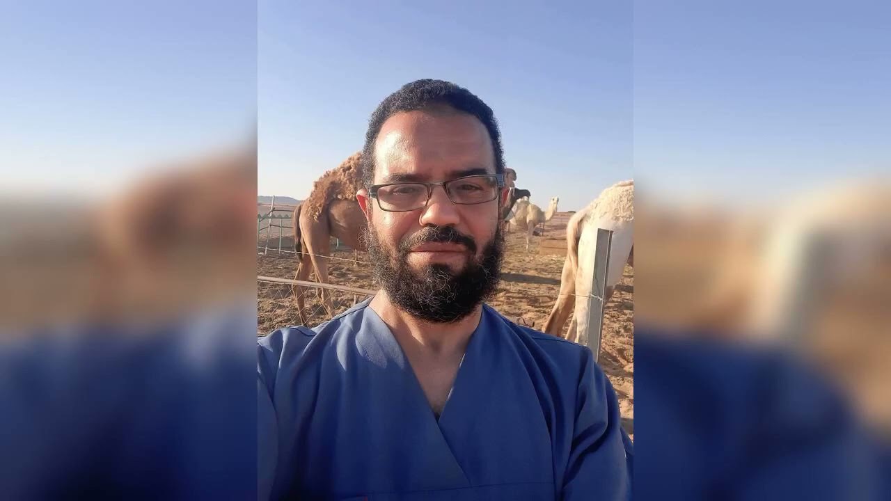 تشخيص أمراض الحيوان